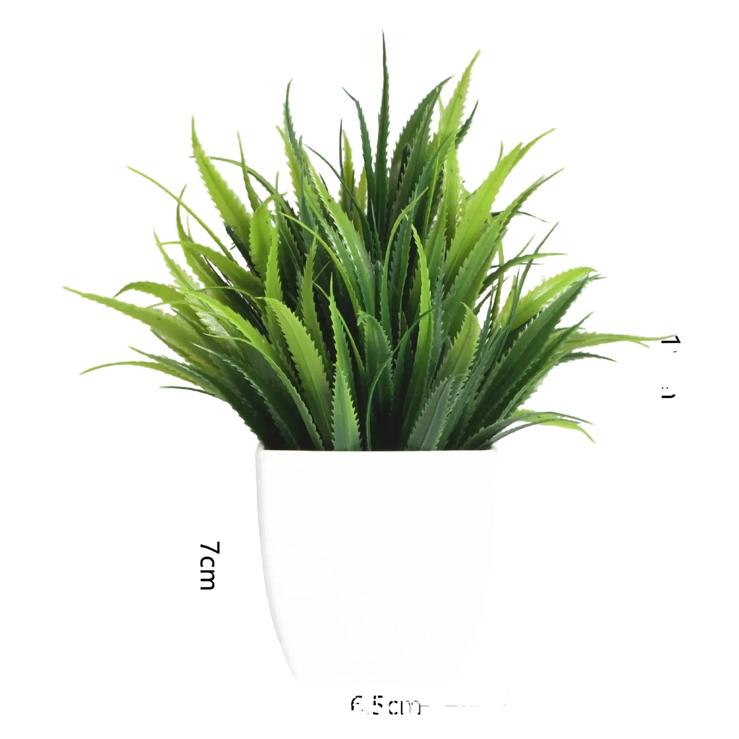 cleaned variant image