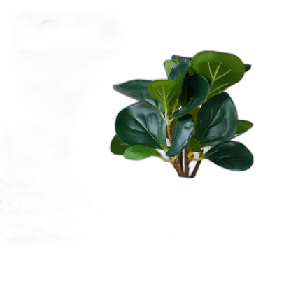 Cleaned variant image