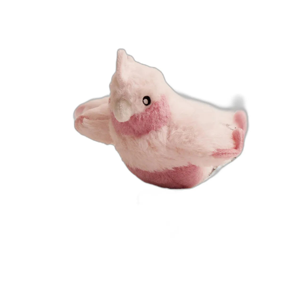 cleaned variant image